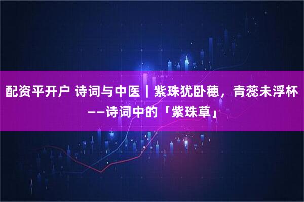 配资平开户 诗词与中医｜紫珠犹卧穗，青蕊未浮杯——诗词中的「紫珠草」